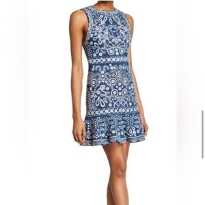 Alice & Olivia - Blue Embroidered Chambray "Rapunzel" Flounce Mini Dress